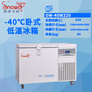 DW-40W208型 -40℃卧式低温箱