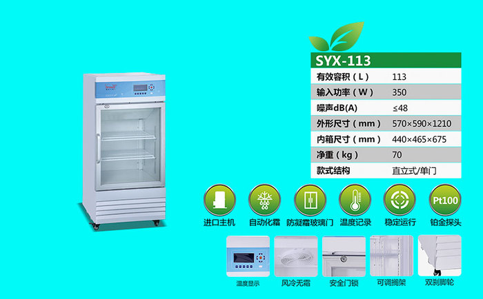 SYX-113.jpg