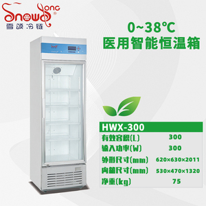 医用恒温箱 300L