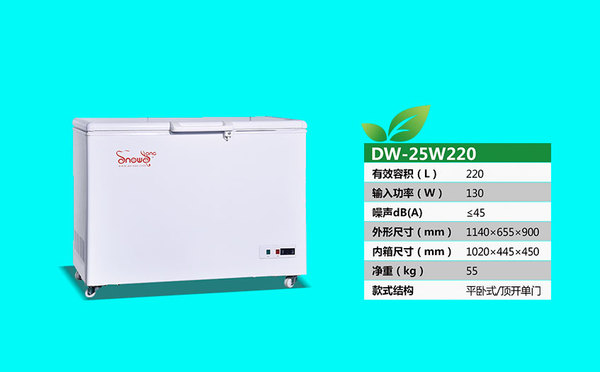 DW-25W220.jpg