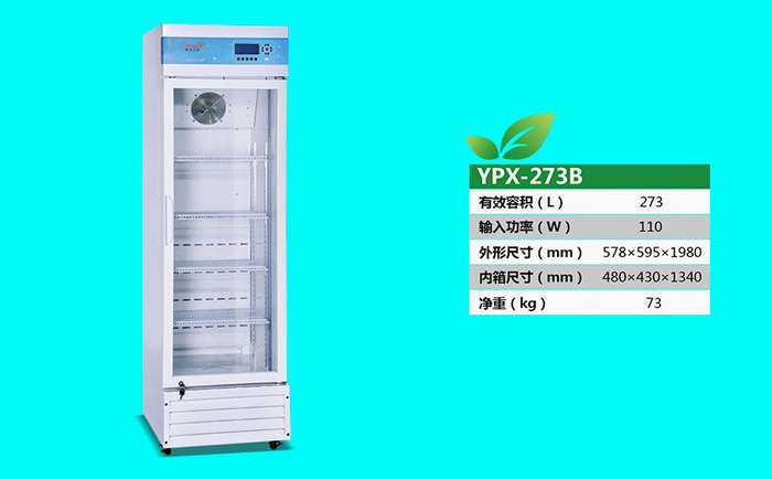 YPX-273B.jpg