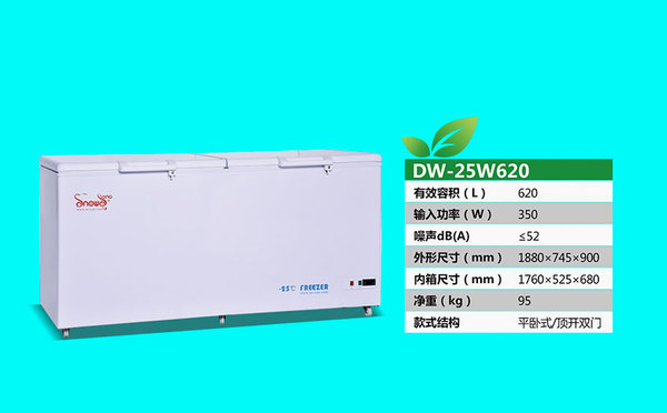 DW-25W620.jpg