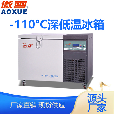 DW-110W112型 -110℃卧式深低温箱