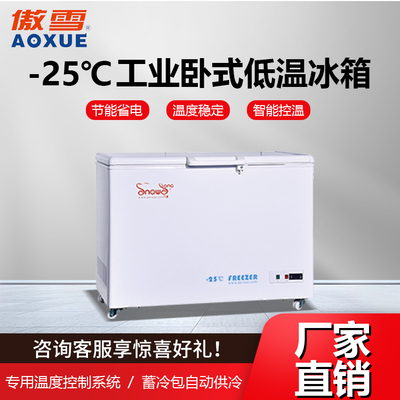 -25℃工业低温冰箱 220L