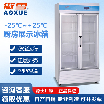 -25℃~+25℃厨房展示冰箱