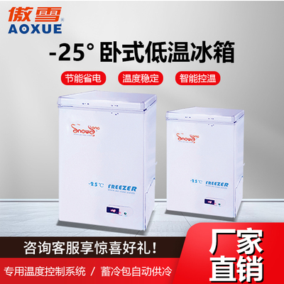 -25℃卧式低温冰箱 100L
