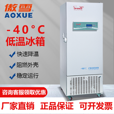 -40℃立式低温冰箱 405L