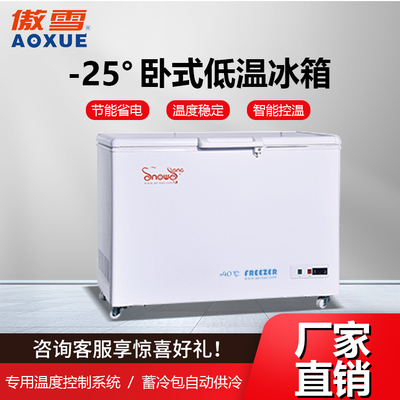 -25℃卧式低温冰箱 320L