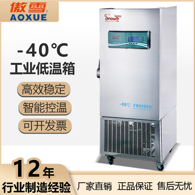 -40℃工业低温冰箱 280L