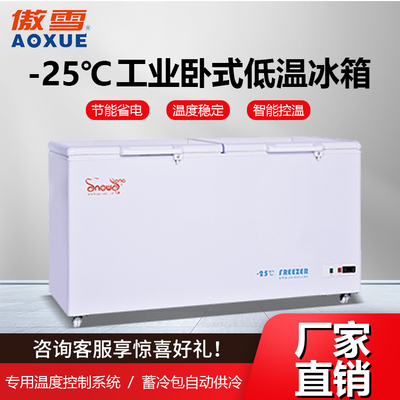 -25℃工业低温冰箱 520L