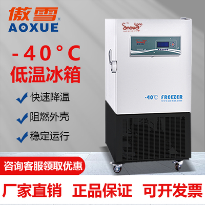 -40℃立式低温冰箱 205L